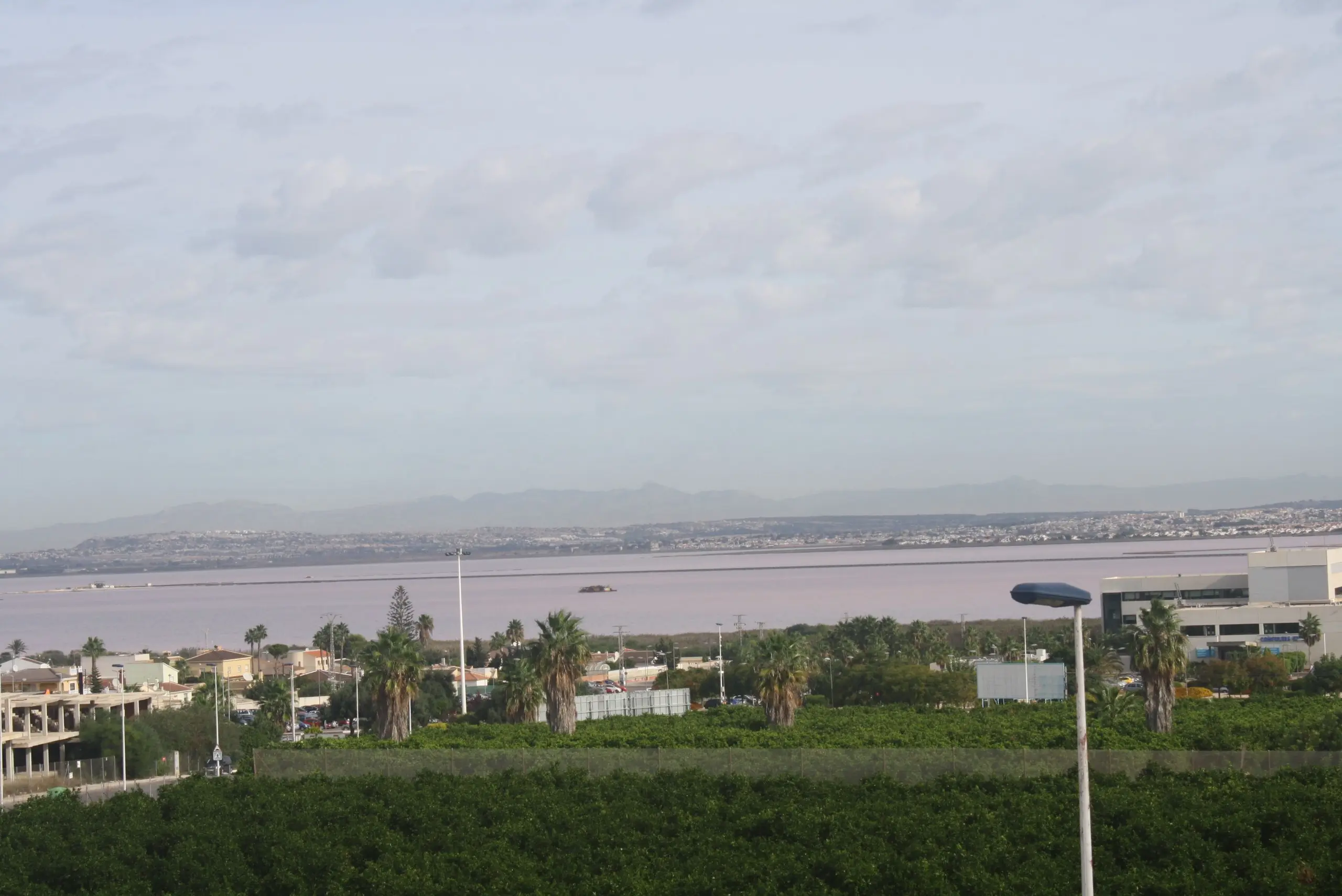 1 Pareado en Torrevieja